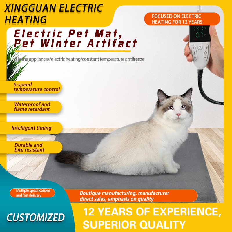 pet  winter artifact